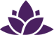 spa_icon